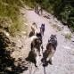 salida a pie en el pirineo catalan,ruta de senderismo.